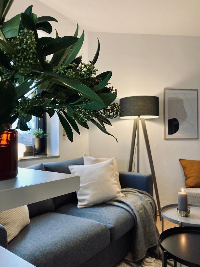 Schickes, Stilvolles Und Helles Apartment In Muenster Dış mekan fotoğraf